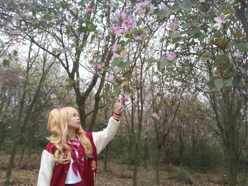 暮秋的第一张照片--南宁红颜知己交友网