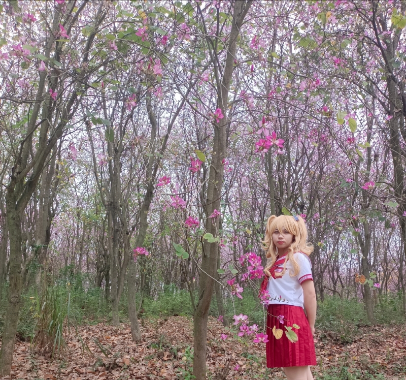 暮秋的第三张照片--南宁红颜知己交友网