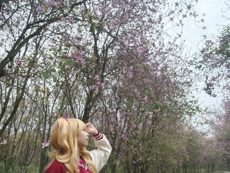 暮秋的第五张照片--南宁红颜知己交友网